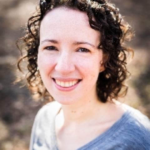 CLIMB Evergreen talk with Rina Foygel Barber: Stability of black-box algorithms