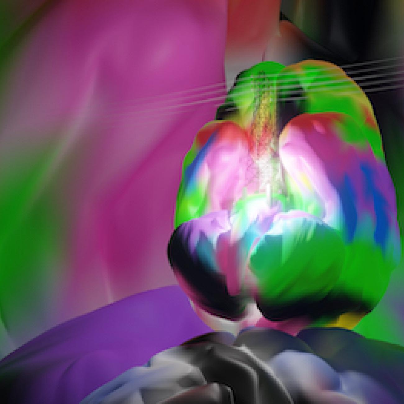 metaverse image