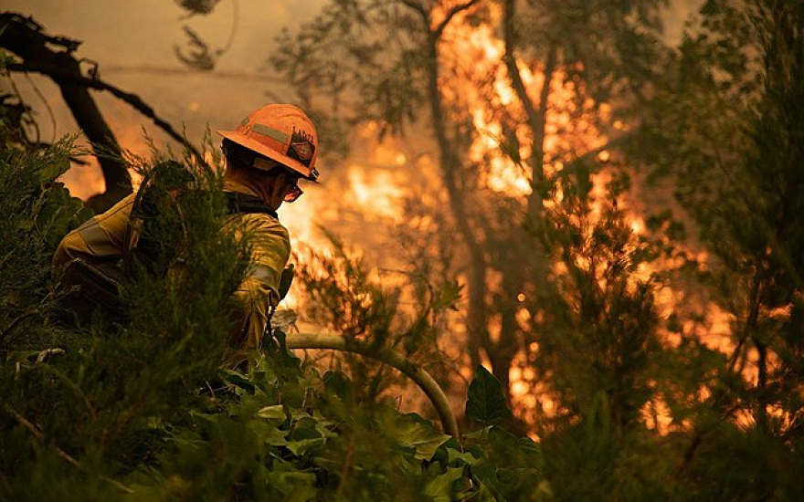 Firefighter facing burning fire with trees surrounding 