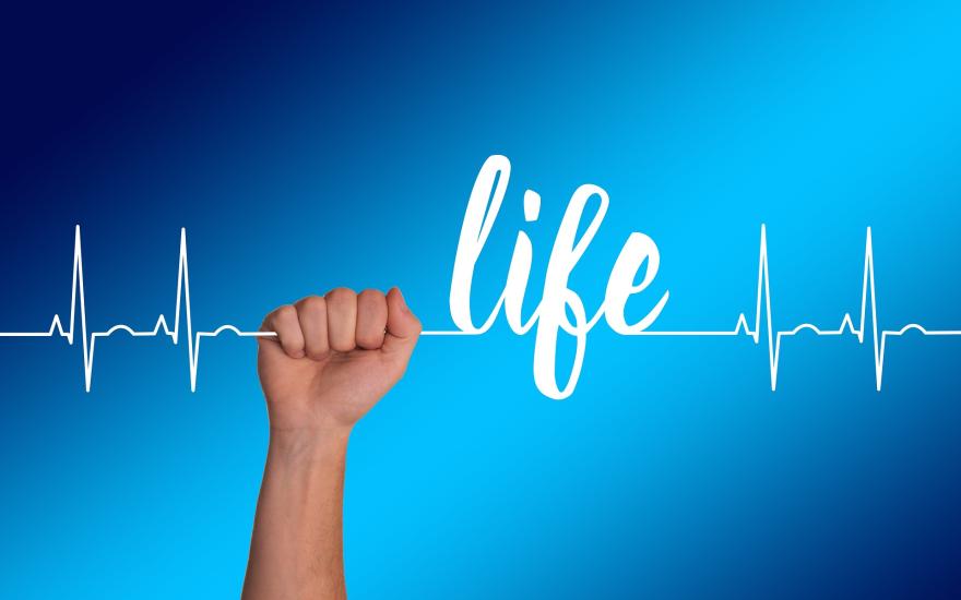LifeLine Image